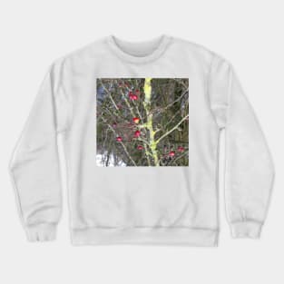 Red berries Crewneck Sweatshirt